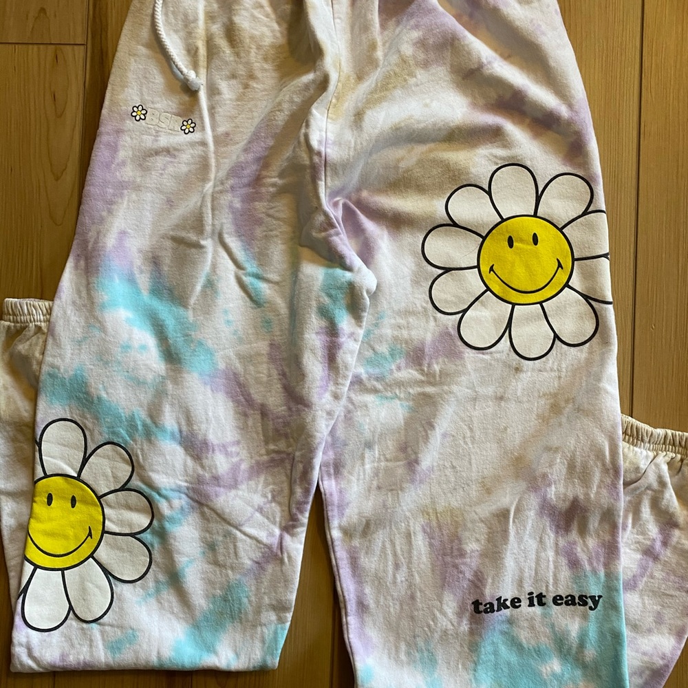 Sweats from Zumiez. Hardly worn